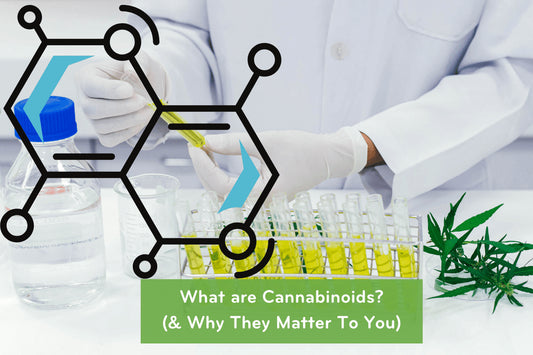 What is a cannabinoid?